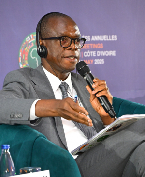Renforcement de la Gouvernance en Afrique : Convergences entre la BAD et la Haute Autorité pour la Bonne Gouvernance de Côte d'Ivoire.