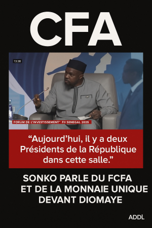 TRIBUNE – Monnaie unique, pouvoir exécutif et stabilité : pourquoi l’alerte de cette citoyenne sénégalaise doit être entendue